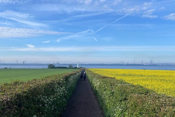 Hale on Mersey view - Giant Walk May 2025