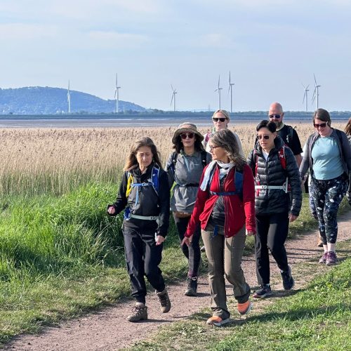 Giant Walkers trekking through Hale on Mersey