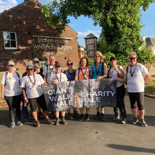 Walkers celebrating after crossing the Giant Walk finish line in Hale (Manchester) 2025