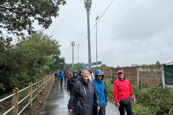 Giant Walkers enjoying the rain