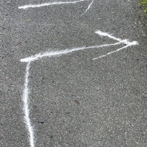 Flour power directions on Giant Walk for Cry 2025