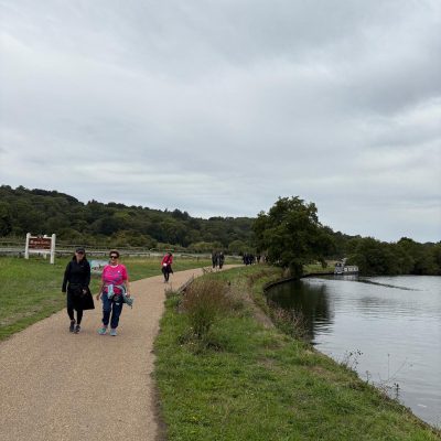 d803ef20-866d-4b46-838d-2dbccf6e2d10