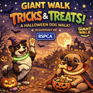 Halloween Dog Walk